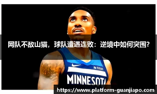 管家婆官网资料