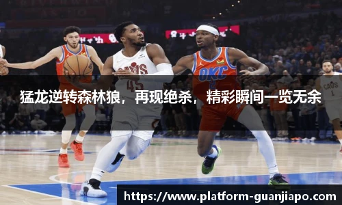 管家婆官网资料