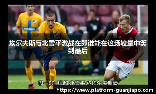 管家婆资料大全